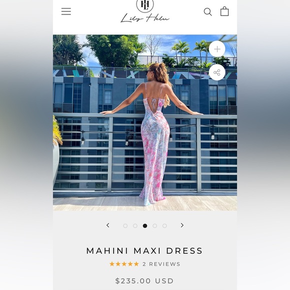 Lily Helu Mahini semi sheer Maxi Dress Cowl neck, adjustable straps. Size S. New - Picture 3 of 6